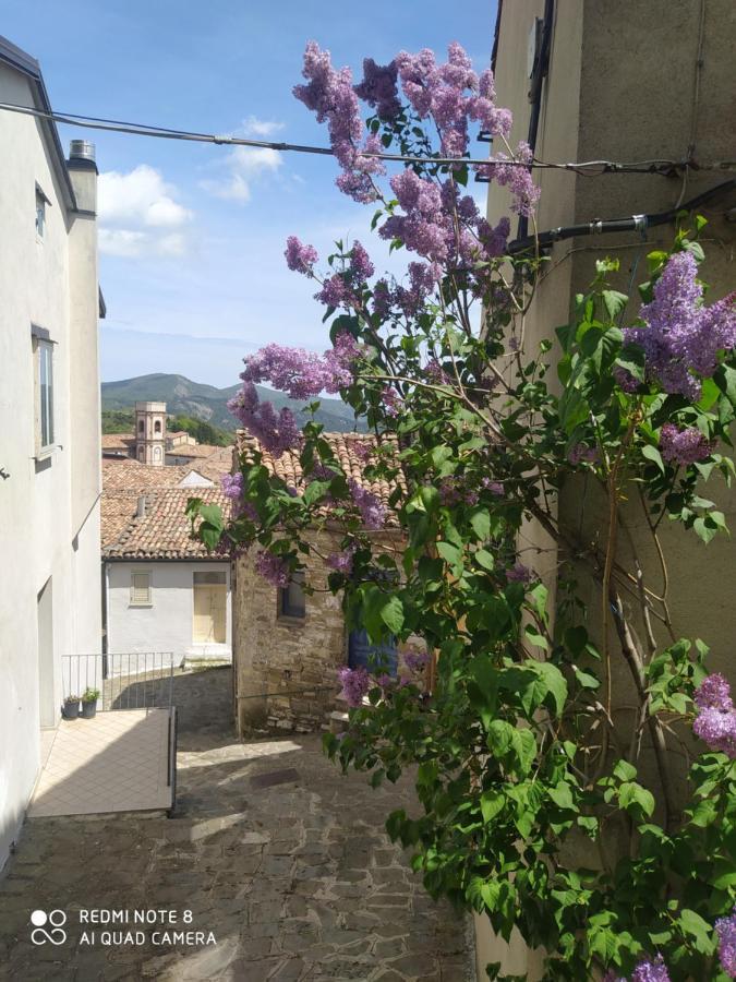 Sant'Elia B&B Alessandria del Carretto Luaran gambar